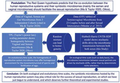 Microbiome Transmission During Sexual Intercourse Appears Stochastic and Supports the Red Queen Hypothesis